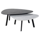 Richmond Interiors Couchtisch Trocadero set von 2 Beistelltisch-8720621685579-Stil-Ambiente-9474